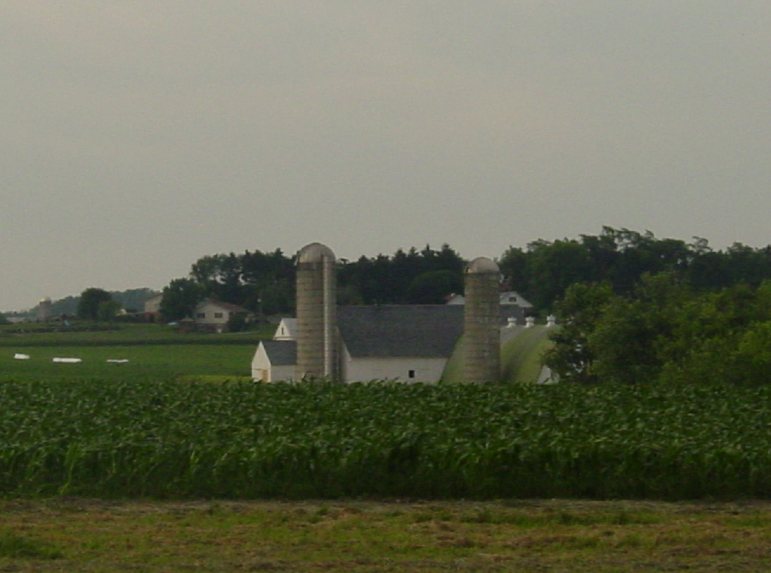 Amish Farm)