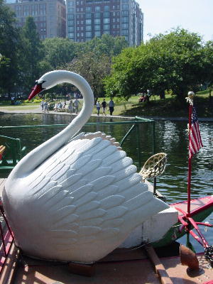 The famous Swan boat.