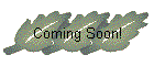 Coming Soon!
