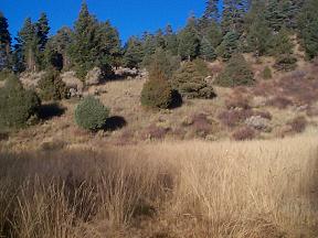 Second lot, leftside.