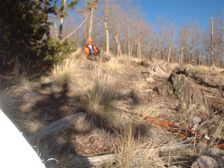 2002