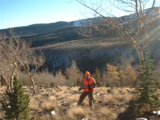 2002