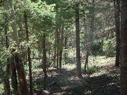 First lot, view from inside.