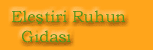 Ele�tiri Ruhun G�das�