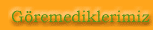 G�remediklerimiz