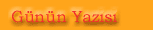 G�n�n Yaz�s�
