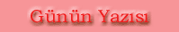 G�n�n Yaz�s�