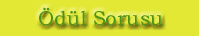 �d�l Sorusu