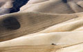 Wheat Fields It is Harvest Time