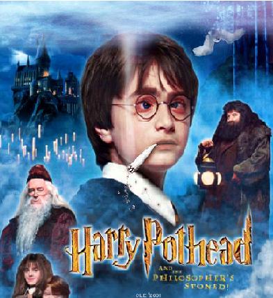 Harry POT HEAD