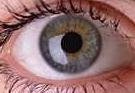 I'm Keeping an eye on this site
