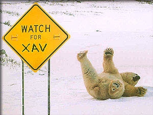 X