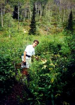 paulainplants.JPG (19240 bytes)