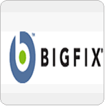 Big Fix Logo