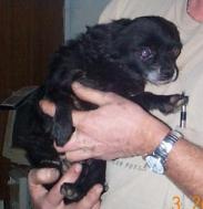 Jackie's rescue photo