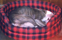 Lydie