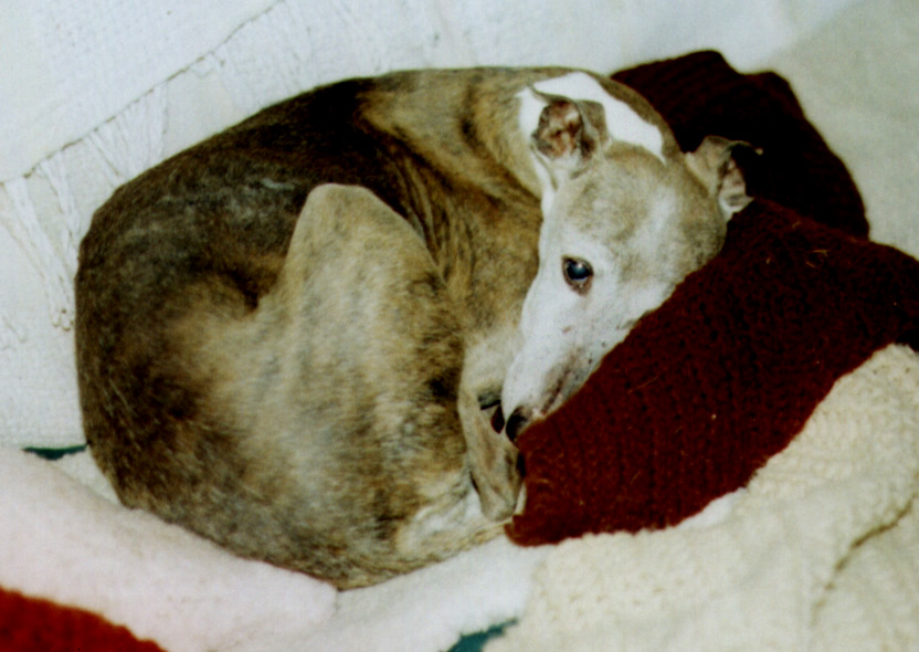 Lydie