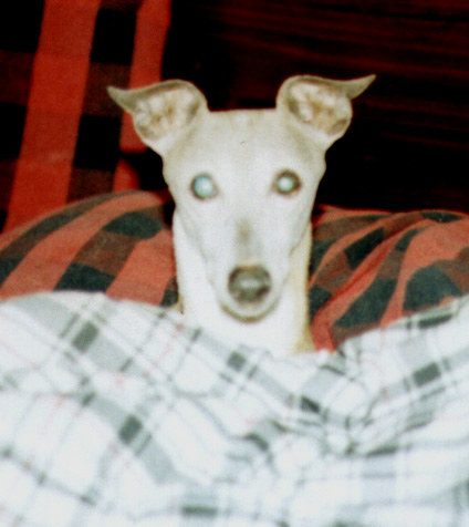 Lydie