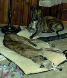 Dream and her daughter, Suzy (It's A Suzy, background), December 2002