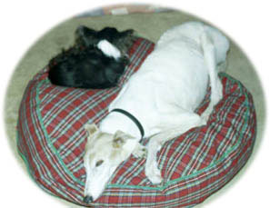 Genny and Rocky