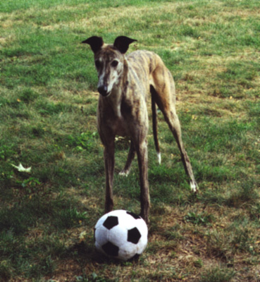 Hasty, Aug99