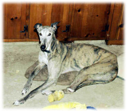 Hasty, March 2003