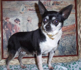 Juliet's rescue photo