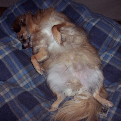 Teddy, Nov06