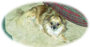 Teddy Sept04