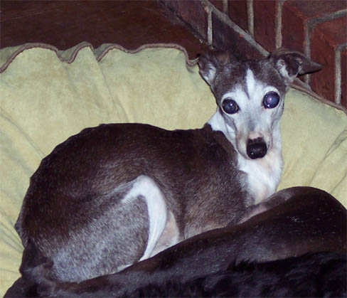 Timber - August 2007