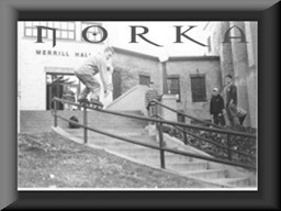 norkA