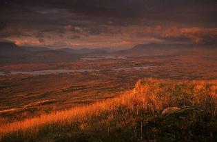 Rannoch Moor