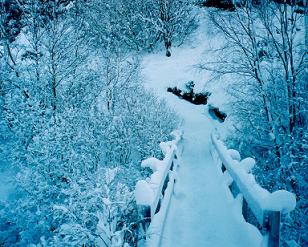 West Highland Way near Crianlarich