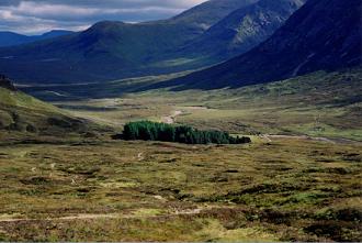 Approaching the Devil's Staircase