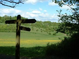 Kent Downs