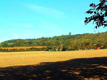 Eastwell, Kent