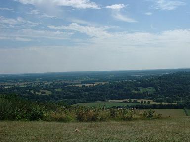 Box Hill near Dorking, Surrey