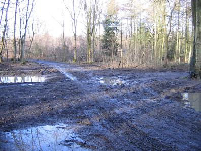 Mud on the North Downs between Newlands Corner and Dorking, Surrey