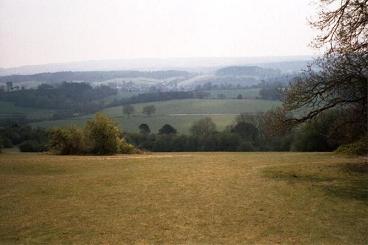 Newlands Corner, near Guildford, Surrey
