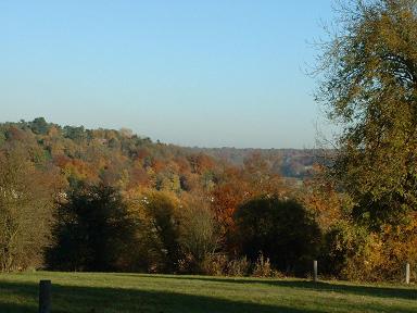 Caterham, Surrey