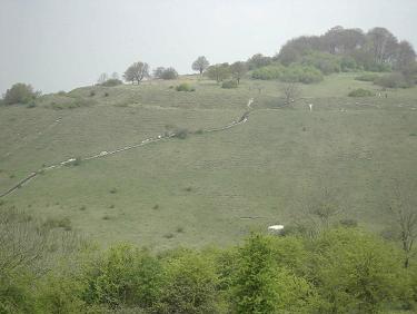 St Catherine's Hill, near Winchester, Hampshire