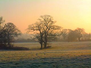 Storrington, West Sussex