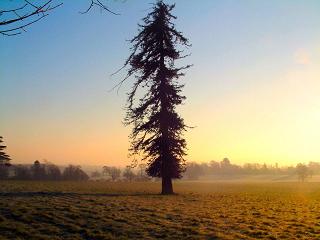 Chanctonbury, West Sussex