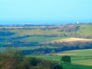 Sussex Downs, West Sussex
