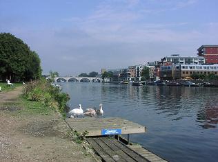 Path facing North towards Kingston Bridge, KINGSTON