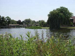 View of houses in Shepperton, from South bank, WEYBRIDGE