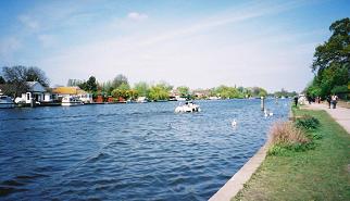 Houses and path at River Thames, WALTON