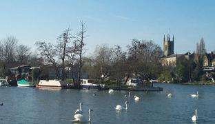 View of Hampton Church and Garrick's Ait from Hurst Park, WEST MOLESEY