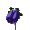 flower16.gif (1797 bytes)