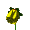 flower22.gif (1703 bytes)